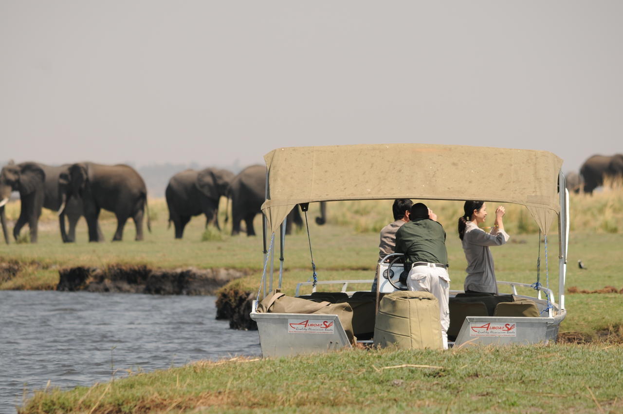 Ngoma Safari Lodge Kavimba Εξωτερικό φωτογραφία
