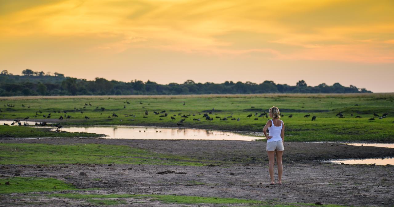 Ngoma Safari Lodge Kavimba Εξωτερικό φωτογραφία
