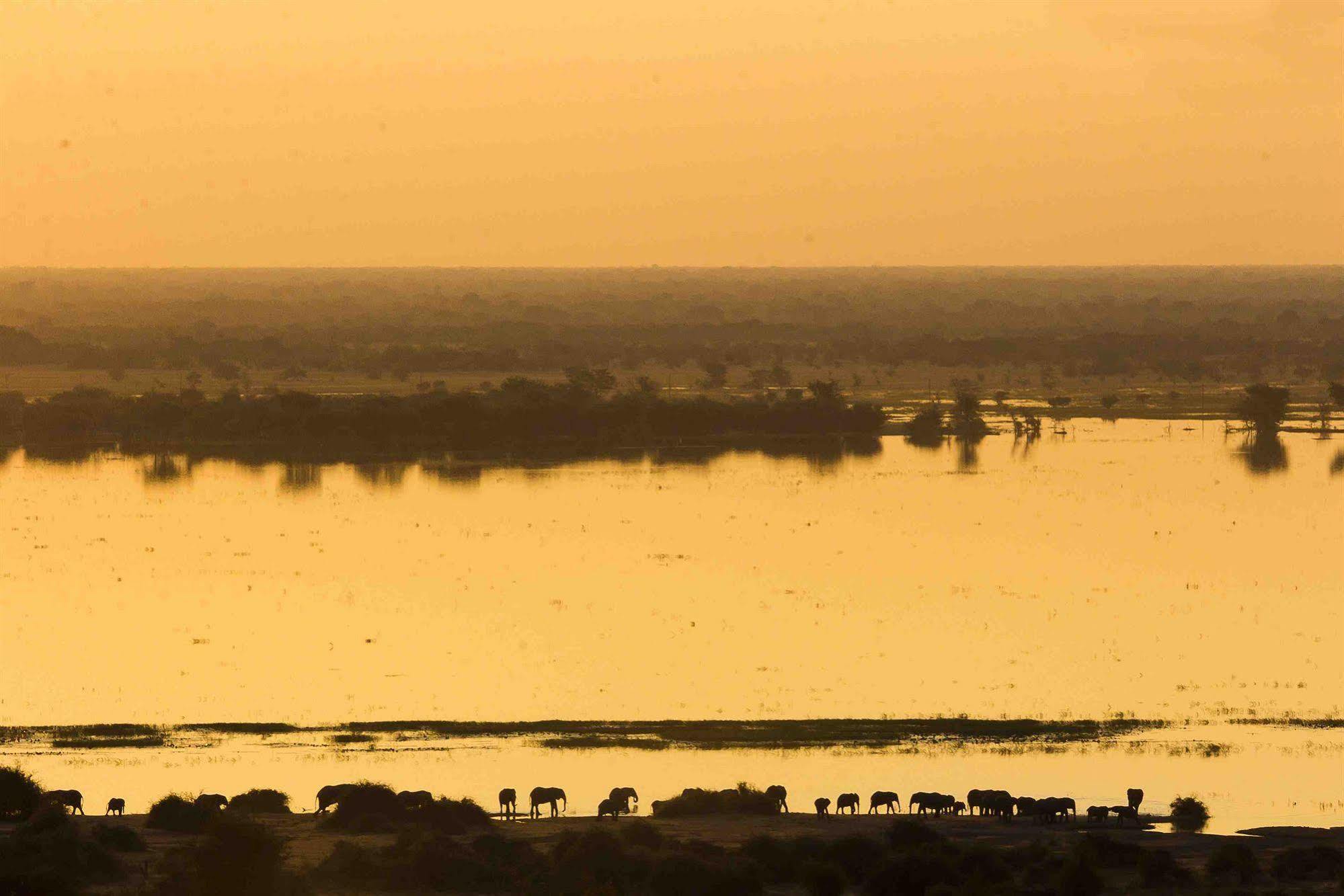 Ngoma Safari Lodge Kavimba Εξωτερικό φωτογραφία
