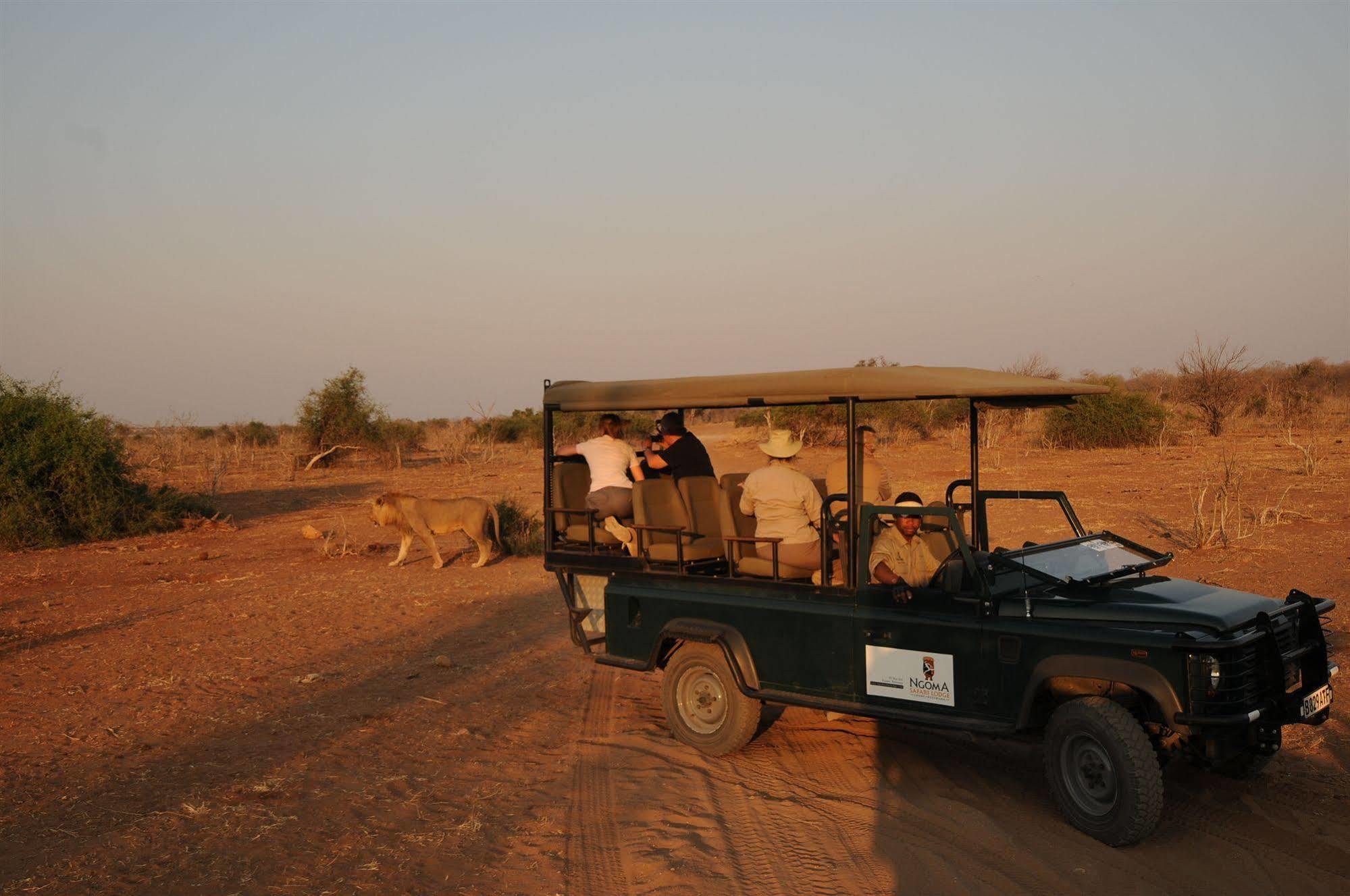 Ngoma Safari Lodge Kavimba Εξωτερικό φωτογραφία