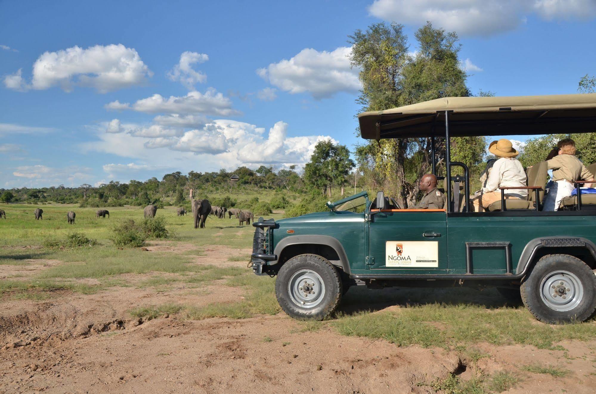 Ngoma Safari Lodge Kavimba Εξωτερικό φωτογραφία